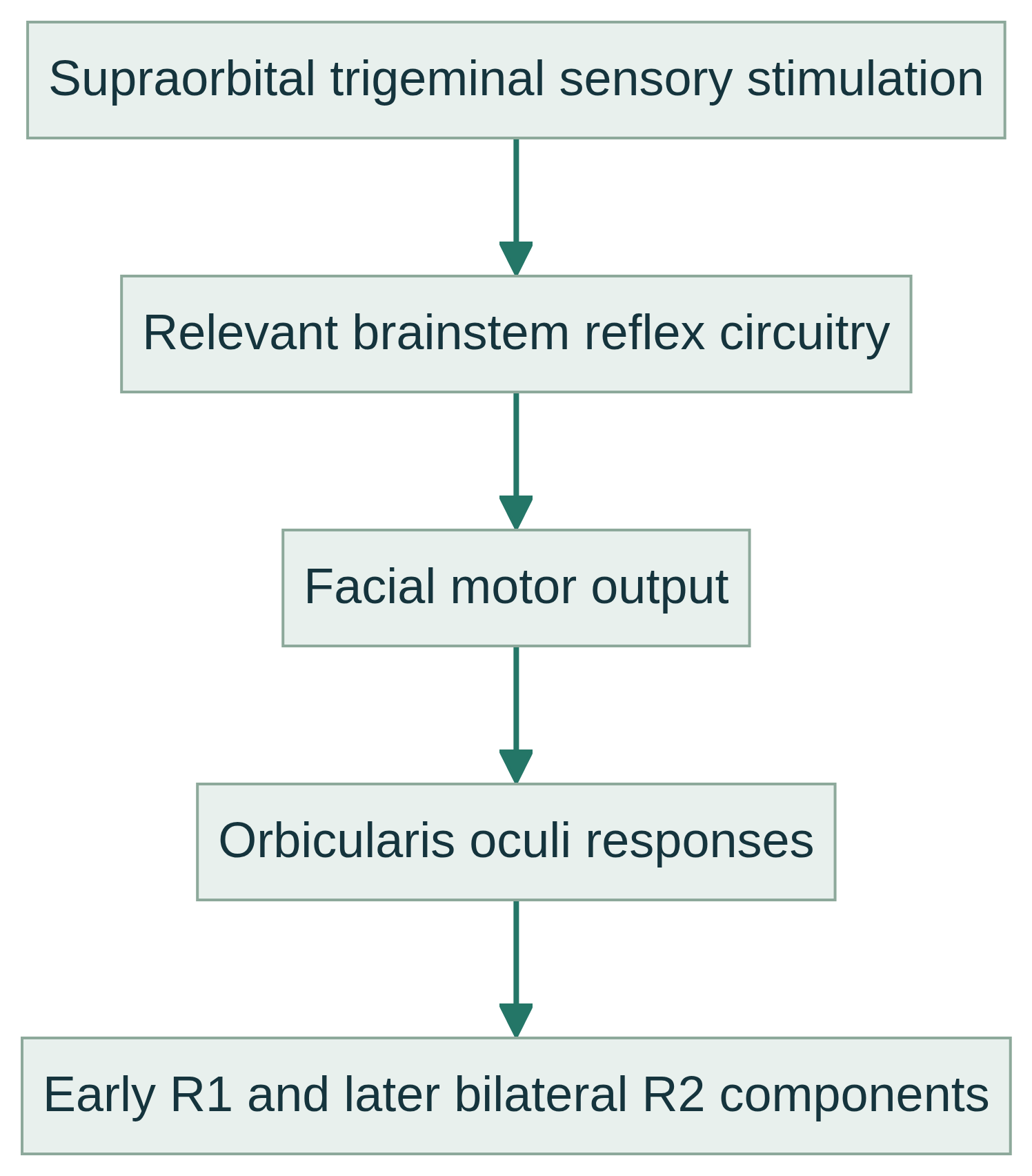 Blink reflex schematic: supraorbital trigeminal stimulation, brainstem circuitry, facial motor output, orbicularis oculi and R1/R2 responses.